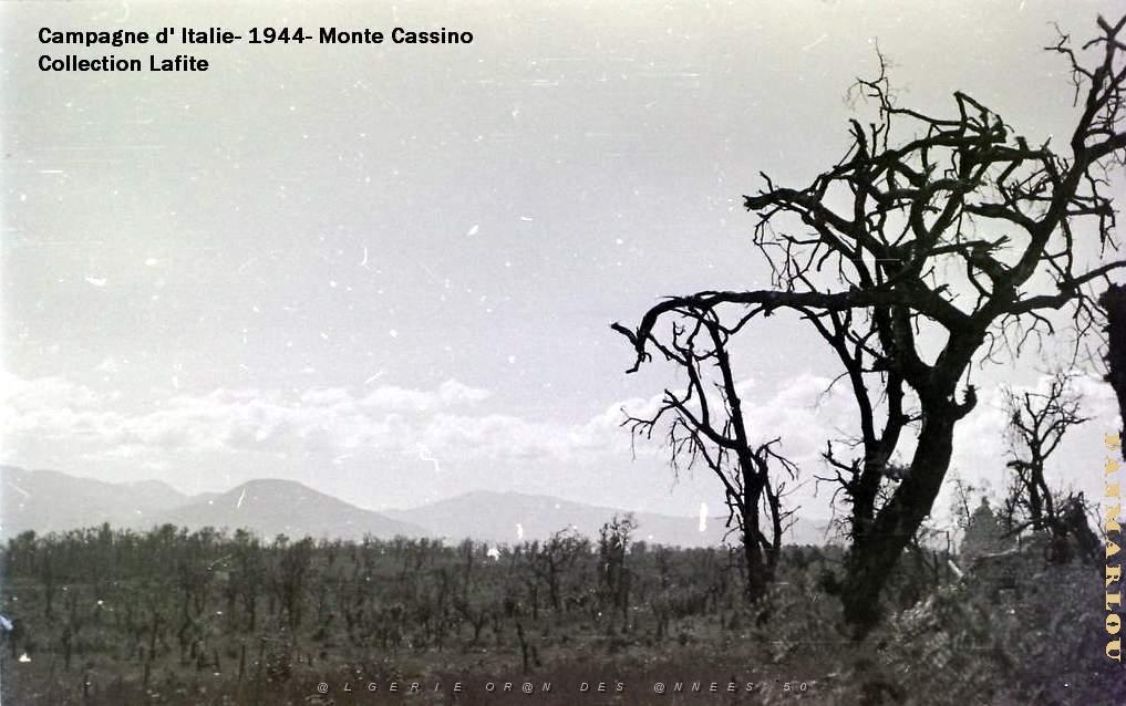 CAMPAGNE D ITALIE MONTE CASSINO 1943 44  (19).JPG